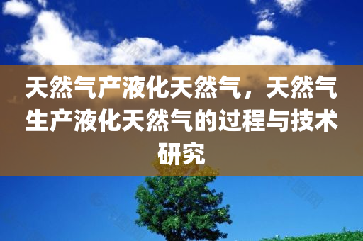 天然气产液化天然气，天然气生产液化天然气的过程与技术研究