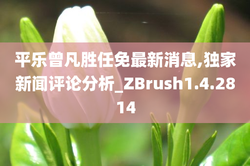 平乐曾凡胜任免最新消息,独家新闻评论分析_ZBrush1.4.2814