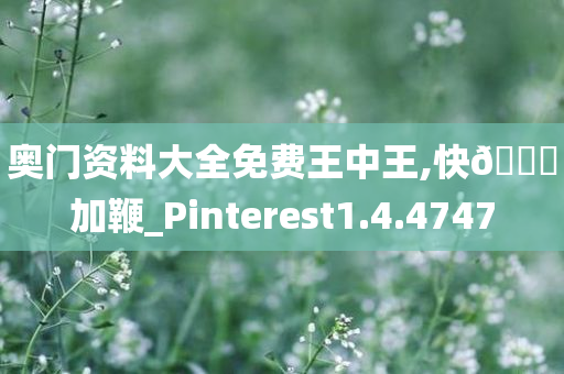 奥门资料大全免费王中王,快??加鞭_Pinterest1.4.4747