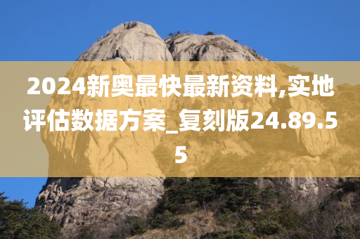 2024新奥最快最新资料,实地评估数据方案_复刻版24.89.55