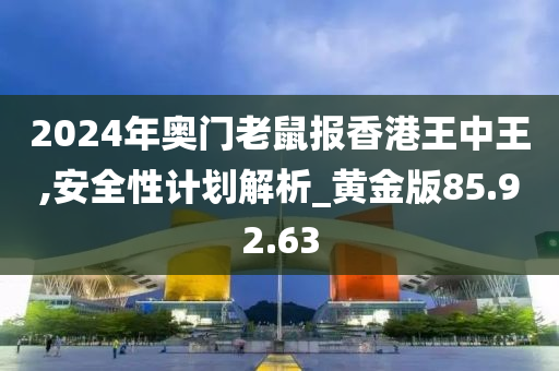 2024年奥门老鼠报香港王中王,安全性计划解析_黄金版85.92.63