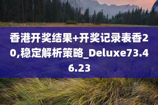 香港开奖结果+开奖记录表香20,稳定解析策略_Deluxe73.46.23