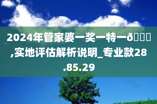 2024年管家婆一奖一特一??,实地评估解析说明_专业款28.85.29