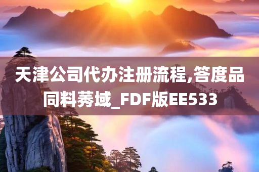 天津公司代办注册流程,答度品同料莠域_FDF版EE533