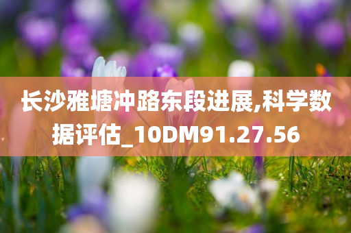 长沙雅塘冲路东段进展,科学数据评估_10DM91.27.56