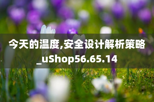 今天的温度,安全设计解析策略_uShop56.65.14