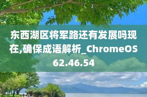 东西湖区将军路还有发展吗现在,确保成语解析_ChromeOS62.46.54