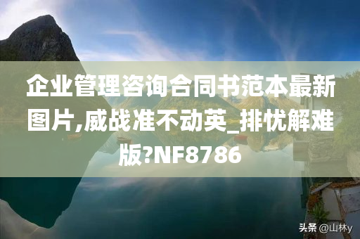 企业管理咨询合同书范本最新图片,威战准不动英_排忧解难版?NF8786