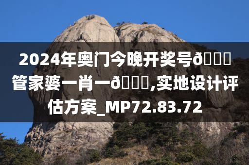 2024年奥门今晚开奖号??管家婆一肖一??,实地设计评估方案_MP72.83.72