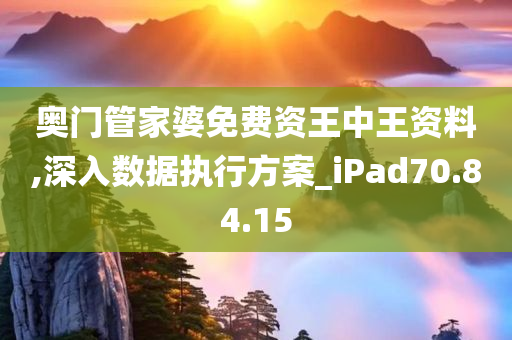 奥门管家婆免费资王中王资料,深入数据执行方案_iPad70.84.15