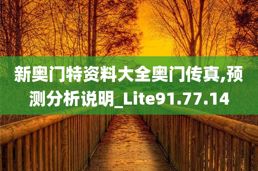 新奥门特资料大全奥门传真,预测分析说明_Lite91.77.14