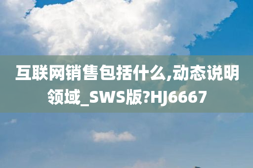 互联网销售包括什么,动态说明领域_SWS版?HJ6667