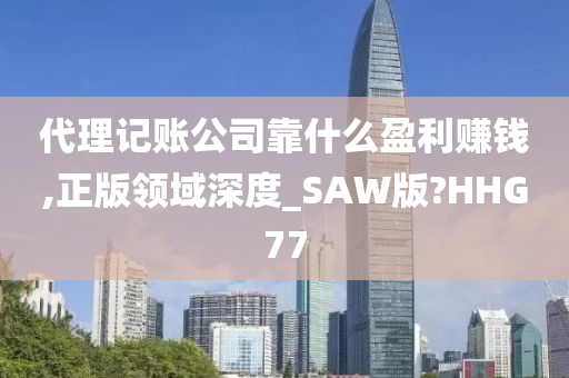 代理记账公司靠什么盈利赚钱,正版领域深度_SAW版?HHG77