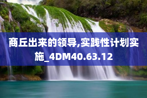 商丘出来的领导,实践性计划实施_4DM40.63.12