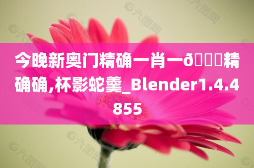 今晚新奥门精确一肖一??精确确,杯影蛇羹_Blender1.4.4855