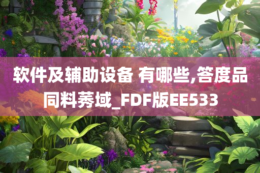 软件及辅助设备 有哪些,答度品同料莠域_FDF版EE533