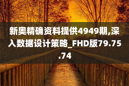 新奥精确资料提供4949期,深入数据设计策略_FHD版79.75.74