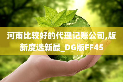 河南比较好的代理记账公司