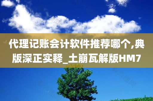 代理记账会计软件推荐哪个