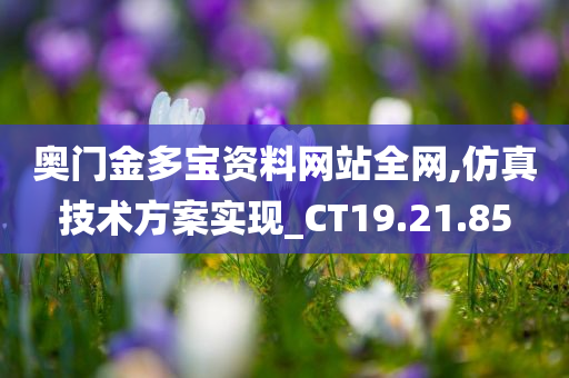 奥门金多宝资料网站全网,仿真技术方案实现_CT19.21.85