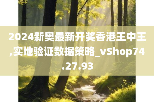 2024新奥最新开奖香港王中王,实地验证数据策略_vShop74.27.93