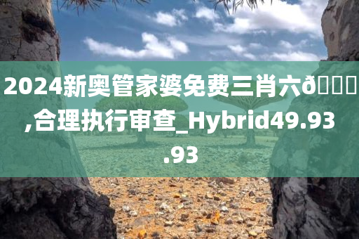 2024新奥管家婆免费三肖六??,合理执行审查_Hybrid49.93.93