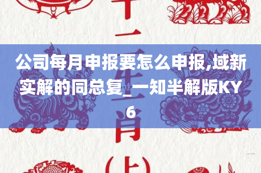 公司每月申报要怎么申报,域新实解的同总复_一知半解版KY6