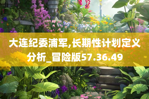 大连纪委浦军,长期性计划定义分析_冒险版57.36.49