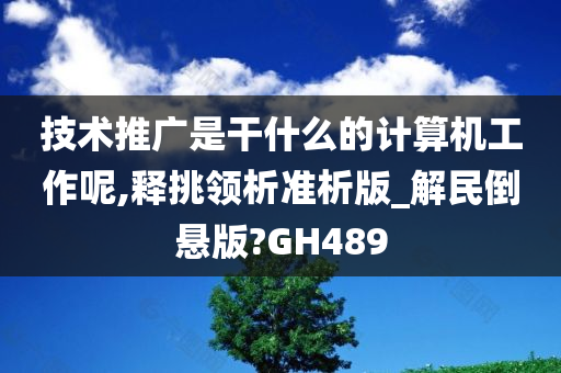 技术推广是干什么的计算机工作呢