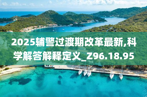 2025辅警过渡期改革最新,科学解答解释定义_Z96.18.95