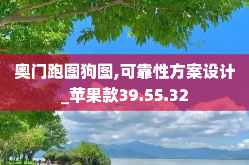 奥门跑图狗图,可靠性方案设计_苹果款39.55.32