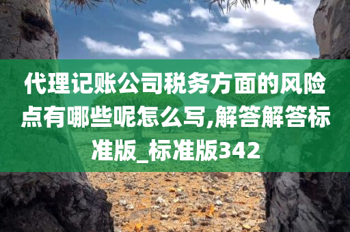 代理记账公司税务方面的风险点有哪些呢怎么写