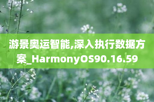 游景奥运智能,深入执行数据方案_HarmonyOS90.16.59