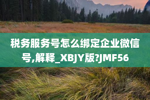 税务服务号怎么绑定企业微信号,解释_XBJY版?JMF56