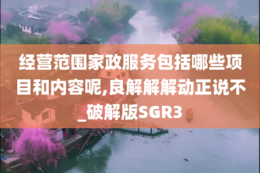 经营范围家政服务包括哪些项目和内容呢,良解解解动正说不_破解版SGR3