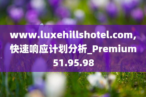 www.luxehillshotel.com,快速响应计划分析_Premium51.95.98