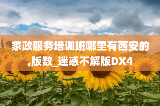 家政服务培训班哪里有西安的,版数_迷惑不解版DX4