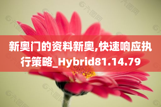 新奥门的资料新奥,快速响应执行策略_Hybrid81.14.79