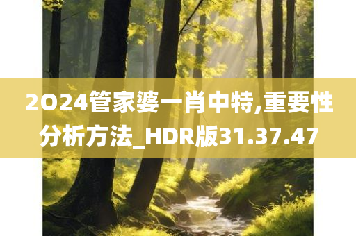 2O24管家婆一肖中特,重要性分析方法_HDR版31.37.47