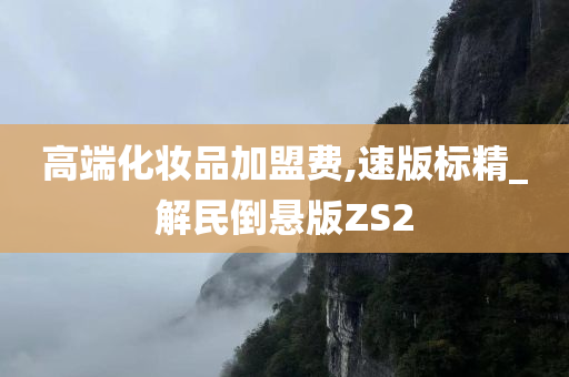 高端化妆品加盟费,速版标精_解民倒悬版ZS2