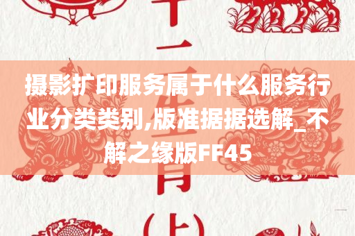 摄影扩印服务属于什么服务行业分类类别,版准据据选解_不解之缘版FF45