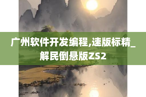 广州软件开发编程,速版标精_解民倒悬版ZS2