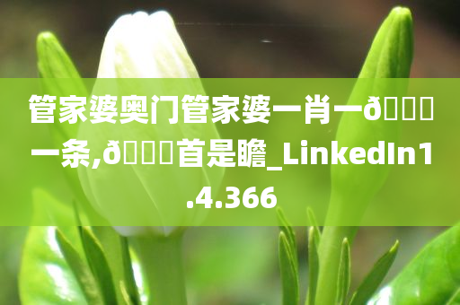 管家婆奥门管家婆一肖一??一条,??首是瞻_LinkedIn1.4.366