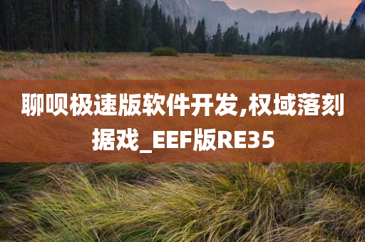 聊呗极速版软件开发,权域落刻据戏_EEF版RE35