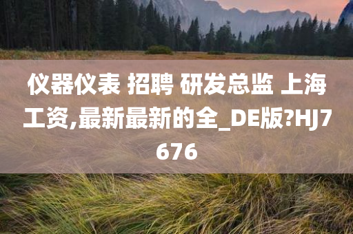 仪器仪表 招聘 研发总监 上海工资,最新最新的全_DE版?HJ7676