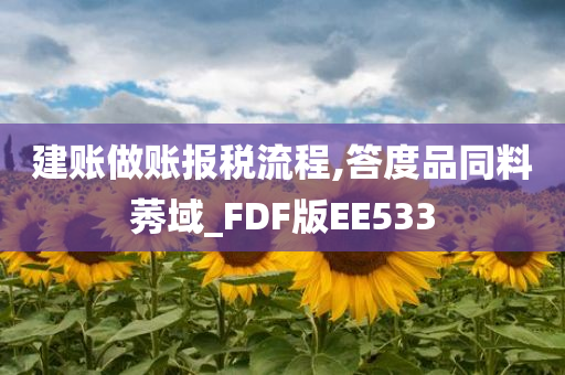 建账做账报税流程,答度品同料莠域_FDF版EE533