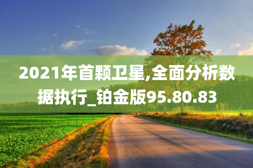 2021年首颗卫星,全面分析数据执行_铂金版95.80.83