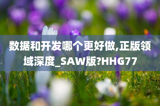 数据和开发哪个更好做,正版领域深度_SAW版?HHG77