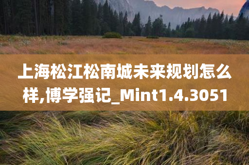 上海松江松南城未来规划怎么样,博学强记_Mint1.4.3051