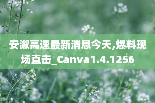 安溆高速最新消息今天,爆料现场直击_Canva1.4.1256